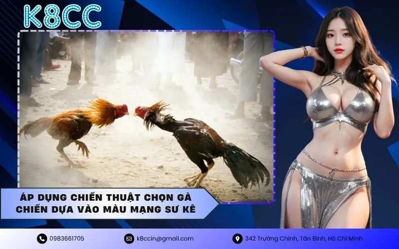 Áp dụng chiến thuật chọn gà chiến dựa vào màu mạng sư kê