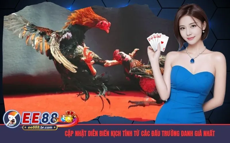 Cập nhật diễn biến kịch tính từ các đấu trường danh giá nhất Campuchia