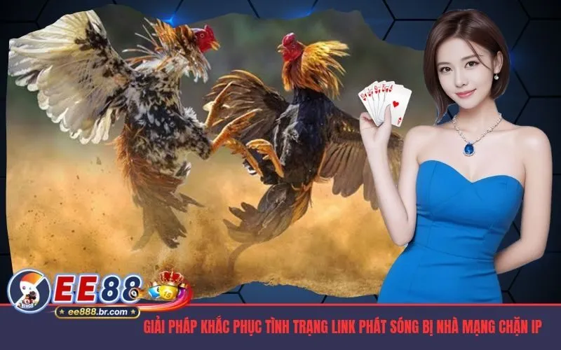 Giải pháp khắc phục tình trạng link phát sóng bị nhà mạng chặn IP