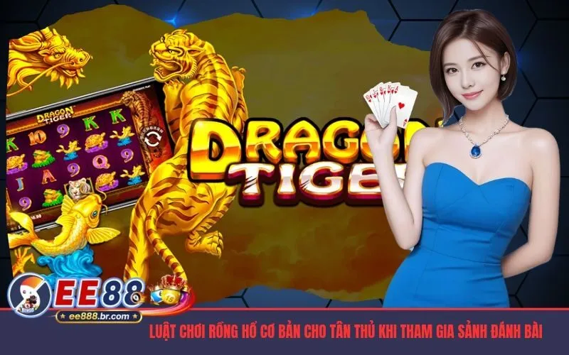 Luật chơi rồng hổ cơ bản cho tân thủ khi tham gia sảnh đánh bài trực tiếp